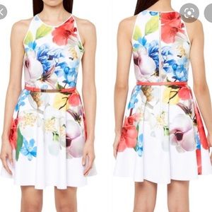 Ted baker secil forget me not floral print dress